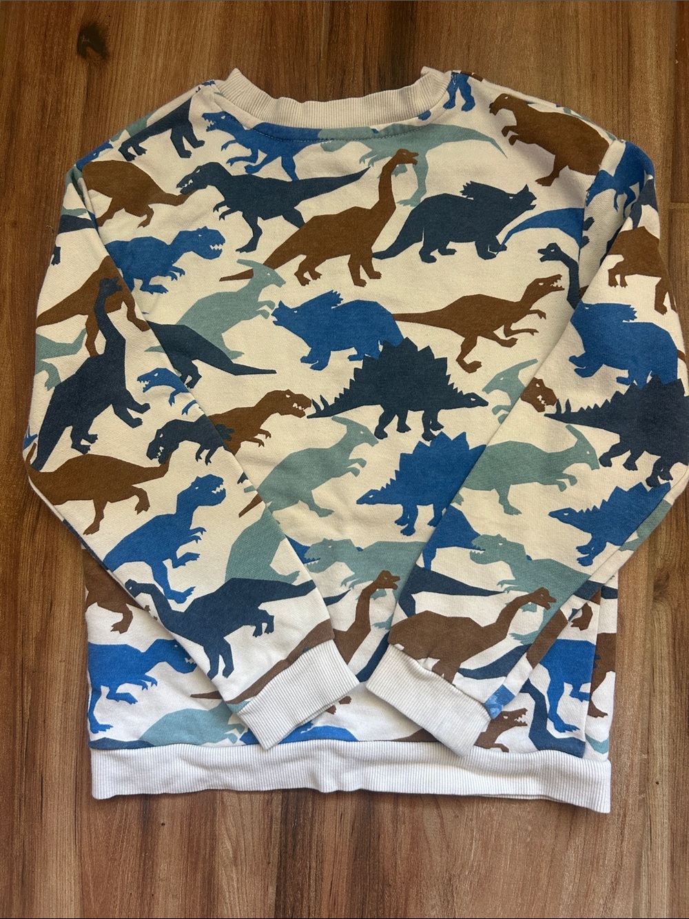 H&M Kids Sweatshirt Bundle Size 6/7 Dinosaur Print + Blue Crewneck - Picture 4 of 8